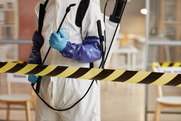 Professional Sewage Cleanup technician working in Franklin Park, IL