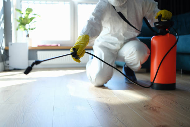 Reliable Sewage Cleanup contractor in Franklin Park, IL by Dulley Family Biohazard Services